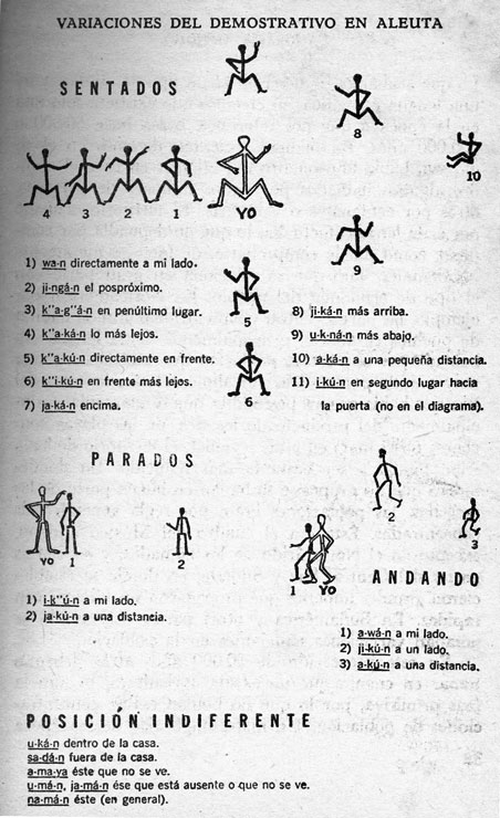 Variedades del demostrativo en aleuta